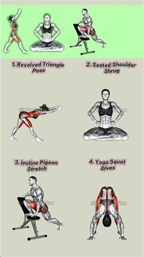 Stretching Routine for Beginners 🤸#beginnerfitness #stretching #shorts #howto #start