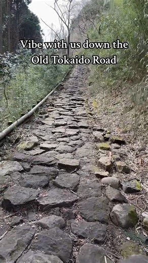 I think you already know who wins the argument about who has to wear the fanny pack 💪 P.S. I finally crashed at 6:30 last night and slept until 4A 🤗 Ready to rock another day of exploration and unique/random food!!! I ate a friggin snail last night 😧🤯 Thank you again to @shamelesstourist for planning this wonderfully memorable trip!!! | J Mack Slaughter Jr