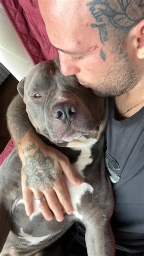 2.5K views · 207 reactions | Rilassato tra le braccia del papi ❤️ e MINO | Noah William | Facebook