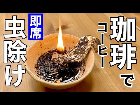 【即席】コーヒーの出しカスで「虫除け線香」を作るサバイバル術！