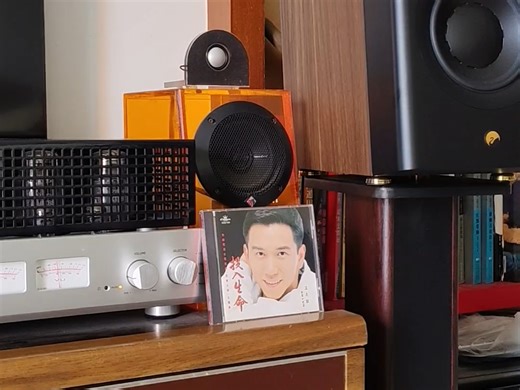 惠威新出音箱D3.1MKⅡ 人声有点甜