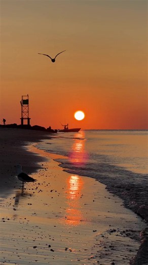 One of the most beautiful and peaceful times of day on the island of Cape Cod, Massachusetts- 6 am walking the beach at sunrise. It’s just you, a few people fishing and the sea gulls. It’s also the perfect time to find a few treasures. (Shells) #capecod #sunrise #tiktokgo #beckyoverbeck #capecodma