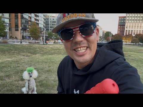 Service Dog Training in Washington, D.C. Naval Yard