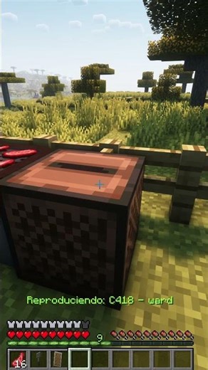 Minecraft modo Mexico.#funny #minecraft #gamer