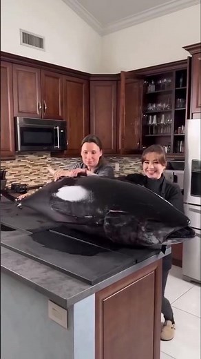 Tuna Facts That Will Blow Your Mind!