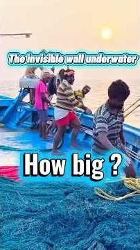The invisible wall underwater. How Big? #fishing #indian #shortvideo #shorts