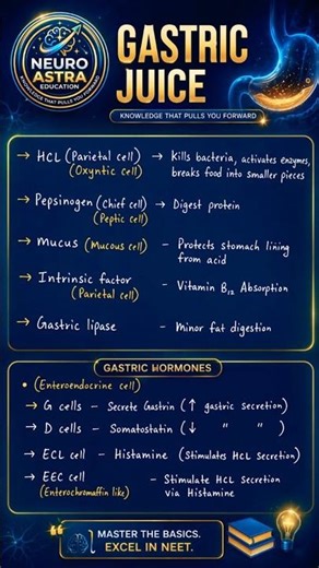 Master Gastric Juice in 60 Seconds ⚡#shorts #norcet #motivation #nevergiveup #anatomy #physiology