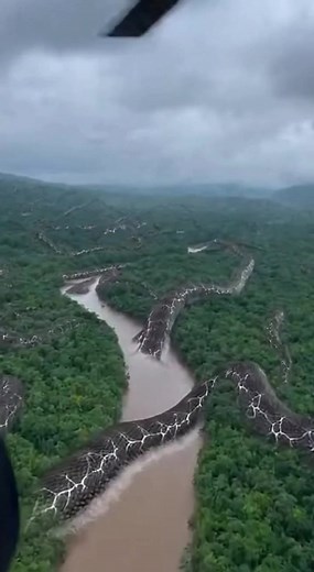 #chipmunk #challenge #chipmunksoftiktok #chipmunks #chipmunksofinstagram #dinky #animal #funnyvideos #pet #doglover #reelsfbシ #fishing #fishinglife #saturday #fish #facebookpost #priorities #cute #cutegirl #grateful #dance #cutegirlthailand #cutebaby #beutiful #beefitswhatsfordinner #beefwellington #cooking #cookingvideo #fishing #fishingtrip | 2K24