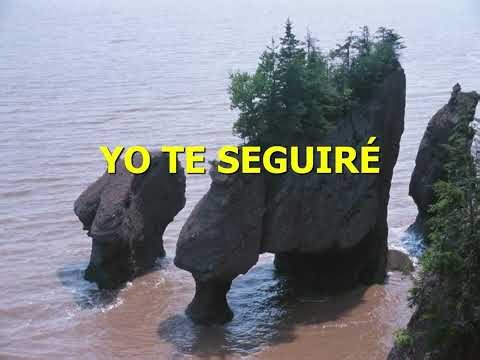535 - "Yo te seguiré" - Himnario Suprema Alabanza (Video Lyric)