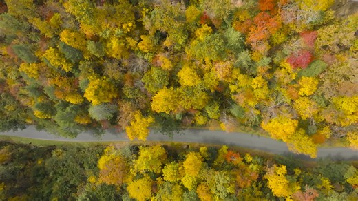 🍂 THIS is why you should visit Parkside Resort in the fall! 🍁 Fall at Parkside Resort is more than a getaway — it’s an experience you’ll never forget. ❤️ AND take 30% off your fall getaway! | Parkside Resort