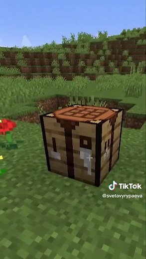 Ace Highlights on TikTok