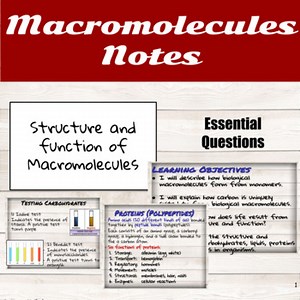 Macromolecules PPT
