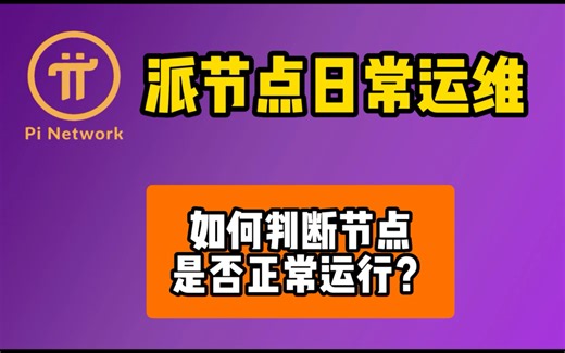 派节点，怎么检测，怎么查看日常运行是否正常？pi network pi node