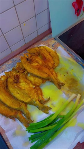 Hiba (الملكة) (@hiba_home)’s videos with الصوت الأصلي - المصمم/ AlHadi Bilal