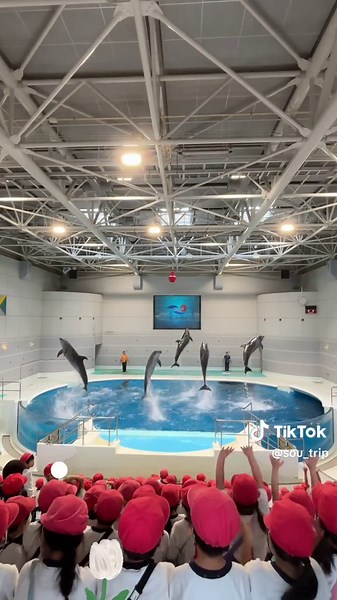 鹿児島の癒しスポット：いおワールドかごしま水族館