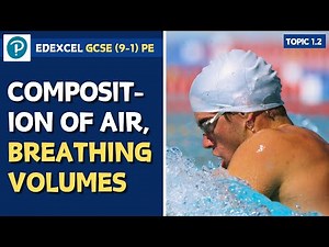 Edexcel GCSE PE - Vital Capacity, Tidal Volume, Composition of Air - Cardio-Respiratory System (1.2)