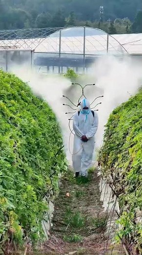 Farmer in Protective Suit Spraying Pesticides: Guardian of Modern Agriculture
