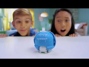 Little Live Pets Hedgehog S1 30s TVC