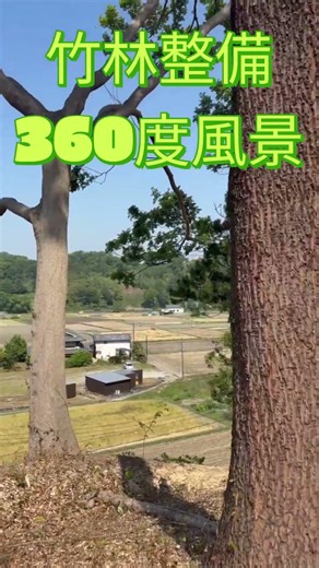 明日香村 求人 竹整備・現場職 有給あり #shorts
