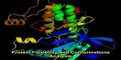 Strategy of Computer Aided Drug Design Animated...