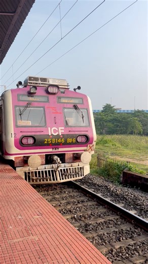 Cute Pink Emu Local | Indian life lines