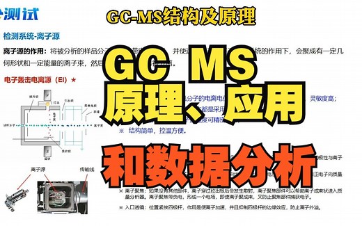 GC-MS 的原理、应用及数据分析，快来学习~