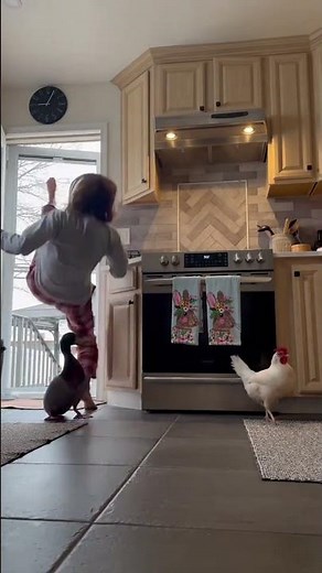 Ultimate Funny Animal Compilation 2026 😂 Dogs, Cats & More! #funnyanimals #funnycats #funnyfails