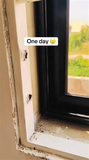 47K views · 232 reactions | Thief enter room, and remove all the installed cables. | John Protein | Facebook