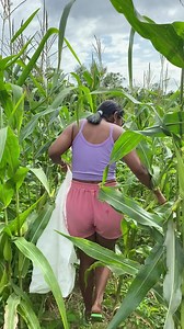 27K views · 1.5K reactions | Coisa boa | Sandra Morays | Facebook