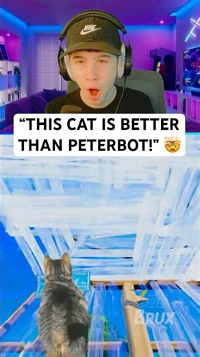 This CAT Is Better Than PETERBOT!? 🤯 #fortnite #fortniteshorts