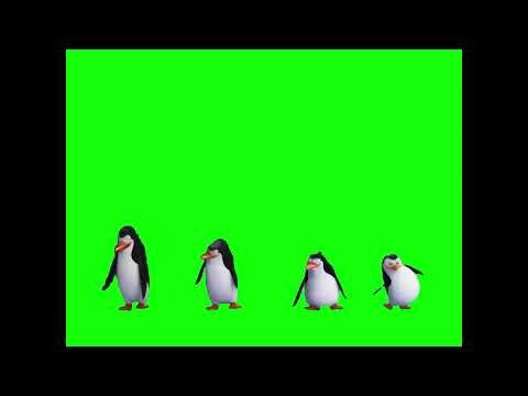 Penguin Dance Green Screen Video || Dancing Penguin Meme Clip || Chroma Key || Content For Creators