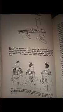 M Studio | China glyphs | Art IDEs