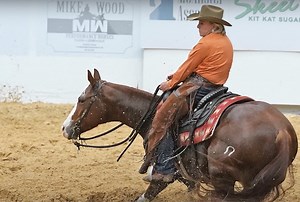 Important Tips for Choosing and Using Cutting Horse Spurs - Quarter Horse News