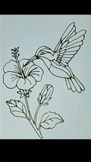 Hummingbird Drawing | Easy Bird and Flower Drawing Step by Step | Coloring Drawing for Beginners 😱😱