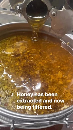 1.4K views · 13 reactions | Honey extraction process in action!  Watch as we spin the frames to remove honey, then witness the double filtration magic as we remove every trace of wax. ✨ #HoneyExtraction #PureHoney | Manchester Honey Company | Facebook