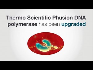 PCR with higher success, simpler success, and a trusted enzyme
