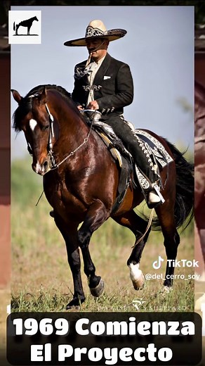 El Caballo Azteca: Un Símbolo Nacional de México