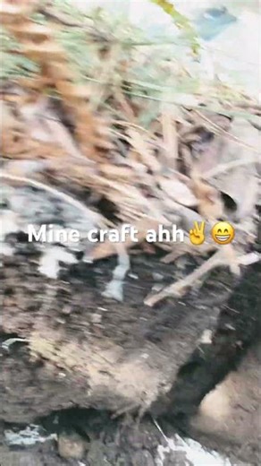 Minecraft ahh