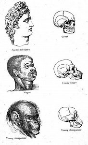 Polygenism - Alchetron, The Free Social Encyclopedia