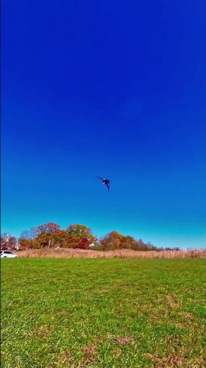 Super Starter! Crazy Tumbling Tricks! Stunt Kite Tricks With My V-Masque By Atelier Kites France