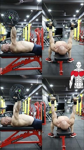 Dumbbell Bench Press vs Barbell Bench Press | Which Form Is Right?#shrots