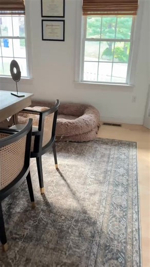 A cozy corner made for you your pet 🐶🤍 🛋️ 3-in-1 design — sofa, lounger, bed ☁️ double bolster support feels like hugging a cloud 🦴 orthopedic egg-crate foam eases joint pressure 💦 waterproof & machine-washable cover 🐾 perfect for cuddles, naps, and quiet moments ✨ turn everyday snuggles into the coziest part of home | Trove