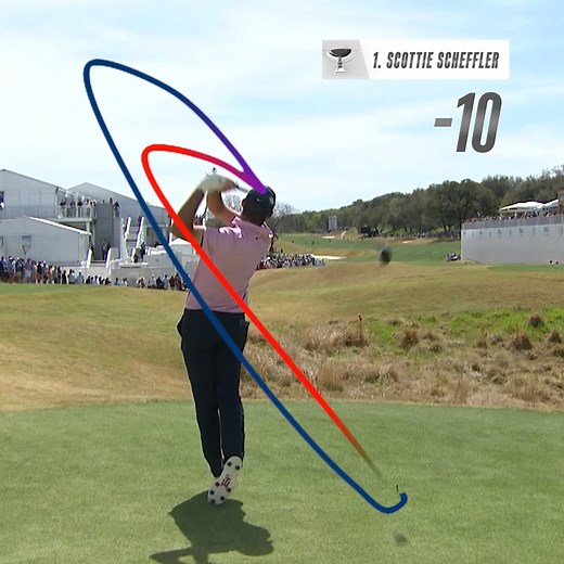 1.4M views · 6.5K reactions | A swing from every player in the field at the TOUR Championship ️‍♂️ | PGA TOUR | Facebook