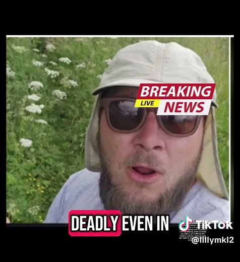 A farmer has claimed to have purchased the UK’s ‘deadliest’ field after discovering it covered in a plant so poisonous that even a tiny amount can be fatal for humans. The Facebook page