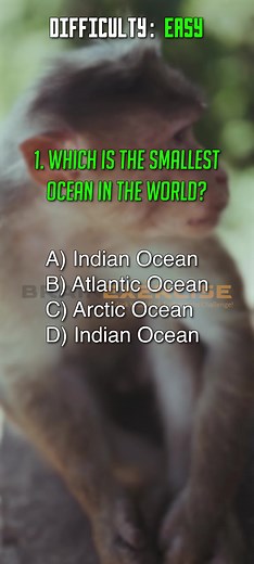 Brain Exercise on TikTok