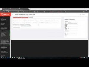 [Security] Blind Numeric SQL Injection over WebGoat