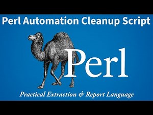Perl Cleanup Script Explained: Automatically Remove Empty Files & Folders (Interactive Project)