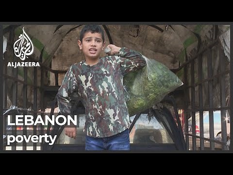 Almost 80 percent of Lebanon's population living in poverty