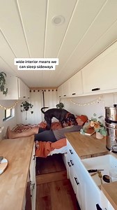 A few reasons we choose the ProMaster! Stay tuned for part 2! #randomthings #rampromaster #vanbuild #vanlife #howitworks | Daily Van Life