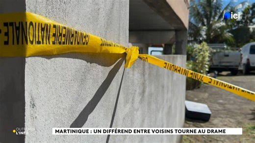En Martinique, à Sainte-Marie, un homme de 45 ans a été abattu et son père, septuagénaire, gravement blessé. Un différend entre voisins sur fond de conflit foncier serait à l'origine des événements. Le point avec Martinique la 1ère | La 1ère